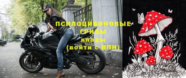 мдпв Горняк