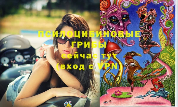 прущие грибы Приозерск