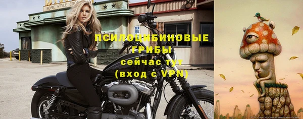 мдпв Горняк